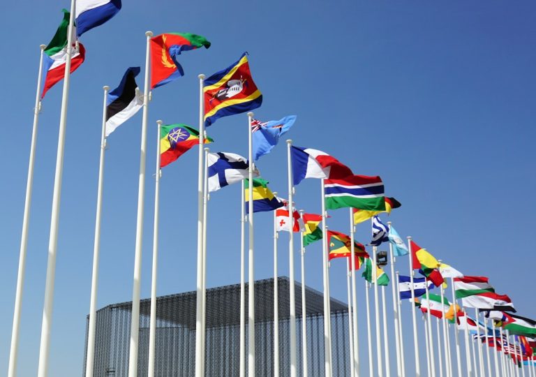 World flags representing strategic autonomy and global policy